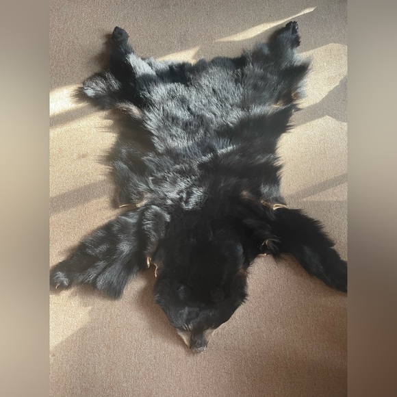 Artisan Accents Genuine Bear Skin Rug Taxidermy Black Bear Hide